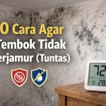 cara agar tembok tidak berjamur